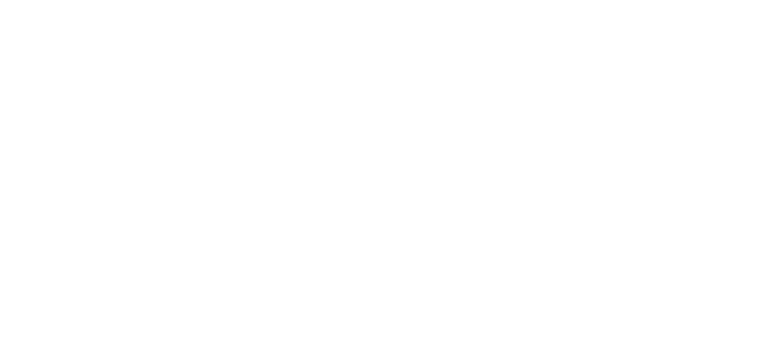 DevelopNet Logo